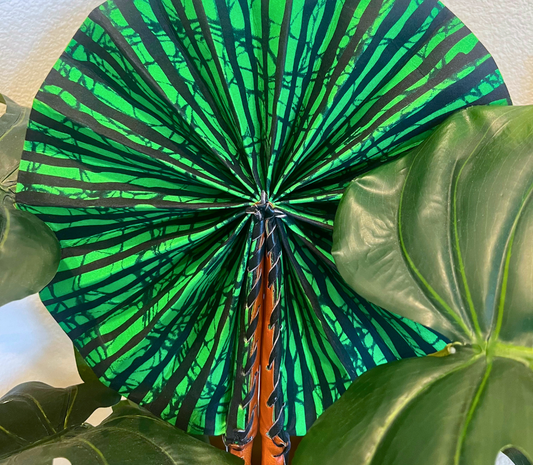 Hanna Fan